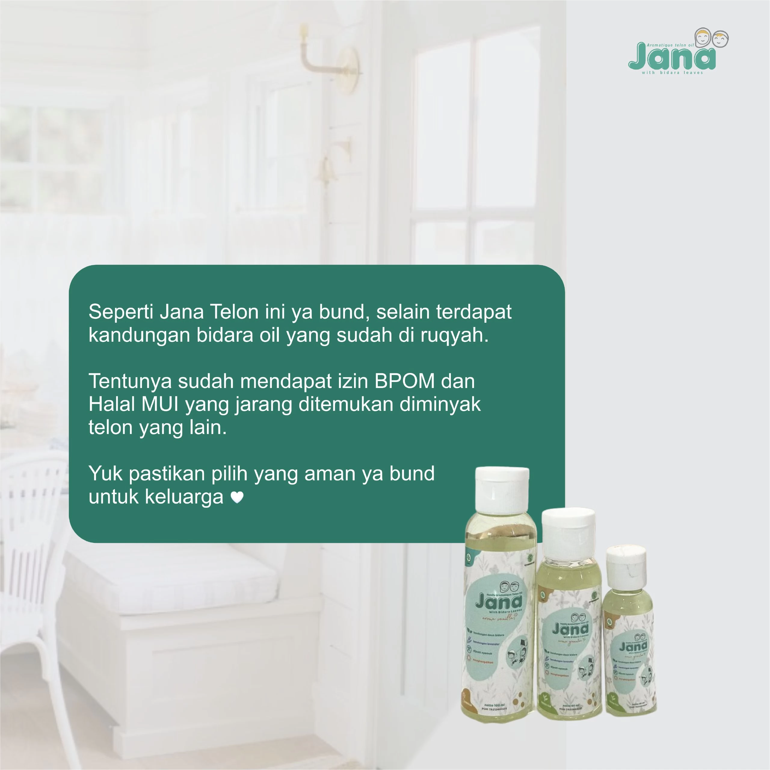 Rahasia Tanaman Berkah Bidara (Ziziphus Mauritiana Lamk) dengan Manfaat Spiritual dan Fisik